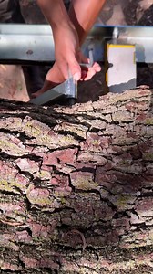 There’s something different about building with wood you milled yourself. Every cut tells a story, and every board carries the marks of real work. | Frontier Sawmills