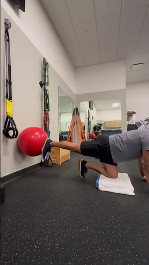 Bird Dog - Wall Support (ISO Hip Extension)