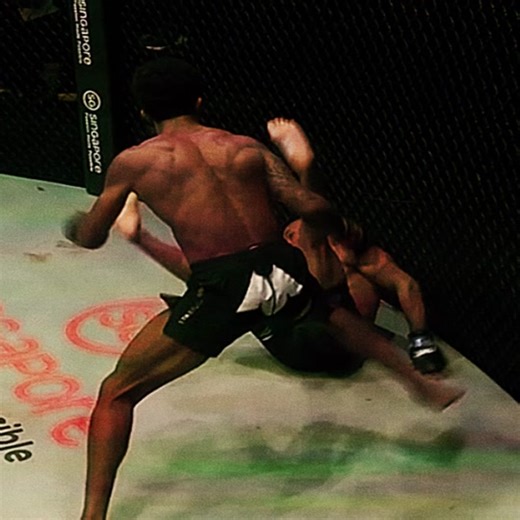 Adriano Moraes：一击击倒山羊的奇妙瞬间