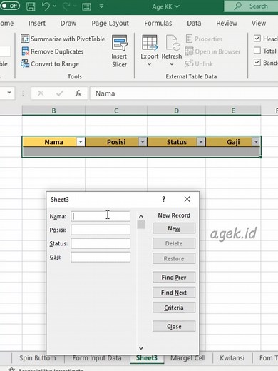 Mudahnya Input Data dengan Form Excel