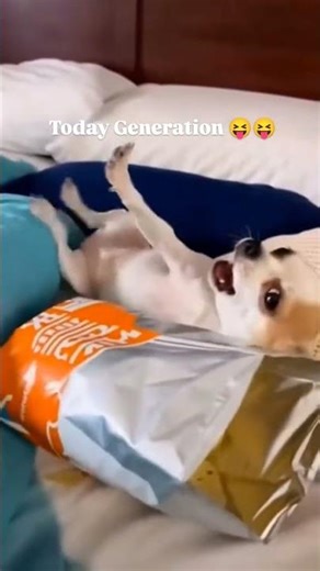 just for fun ai video #comedy #funny #fun #funnyvideo