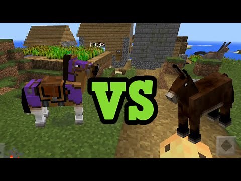 Minecraft Horses vs Donkeys vs Mules - Differences Explained