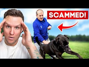 You won't believe how bad this dog owner got scammed- Dog Training Scam Exposed!