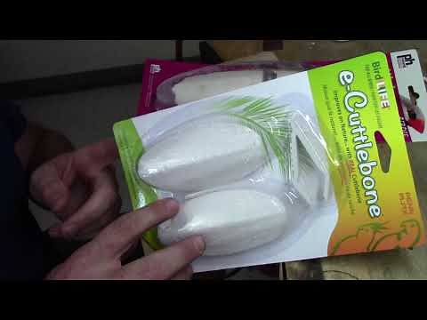 Choose the right cuttle bone for cuttlebone casting.