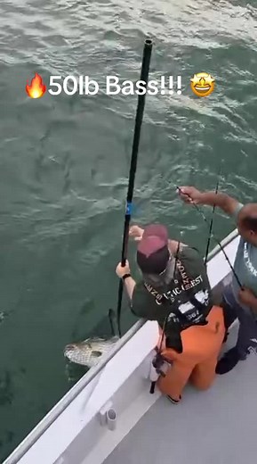 Exciting Bass Fishing Adventure in Port Jefferson
