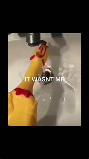 Rubber chicken gets caught by the mafia #meme #rubberchicken #drowning