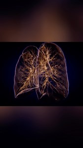 In this video, Jonathan from the Institute of Human Anatomy discusses what vaping does to the body. He covers e-cigarette or vaping-use associated lung injury (EVALI), certain ingredients found in vaping products that may be harmful, long term risks associated with vaping, and if it is a viable tool for quitting traditional cigarette smoking. | Institute of Human Anatomy