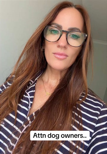 Understanding Your Labradoodle's Unique Behavior