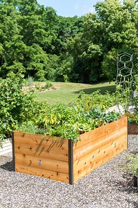 Elevated Cedar Raised Bed, 4' x 8'