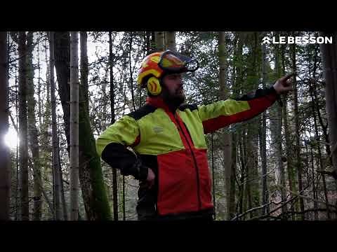Le Besson Outillage Forestier - Abattage d'un arbre & Test Outils et EPI forestiers
