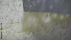 Close Up Of Cottage Cheese Falling Down On Production Process Conveyor. Cottage Cheese Production Process At Manufacturing Factory. Cottage Cheese Production Process Line At Dairy Food Industry Plant