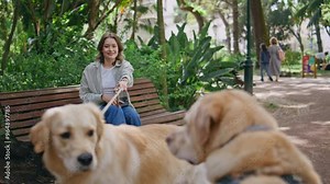 Two dogs meet park wagging tails closeup. Woman sitting bench holding retriever