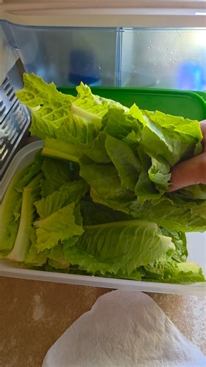 FridgeSmarts have been scientifically designed to provide the perfect Atmosphere Controlled Environment "ACE" system that fruits and vegetables need in order to stay fresher 3 to 5 times longer. FridgeSmart® Containers have a special 3-way venting system that helps regulate the atmosphere inside the container by balancing the flow of oxygen coming in and carbon dioxide going out. BOGO offer is ending soon. At half price, you can split a set with a nearby friend or KEEP THEM ALL for yourself. Sus