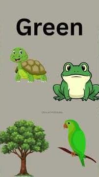 Learn Colors for Kids | Red Yellow Blue Green Pink | Color Names with Pictures |Colors |colours