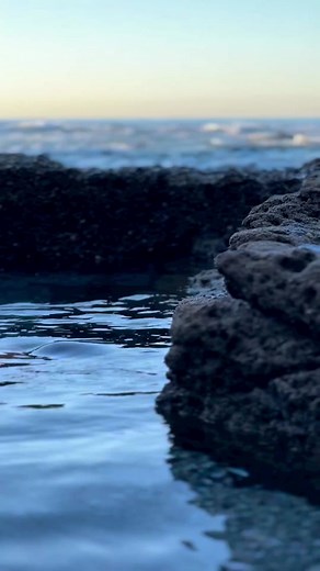 Different Ways to Say Merman in Spanish | Sireno, Tritón