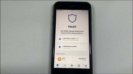 Securely Store Trust Wallet Mnemonic with iMeZone Pro