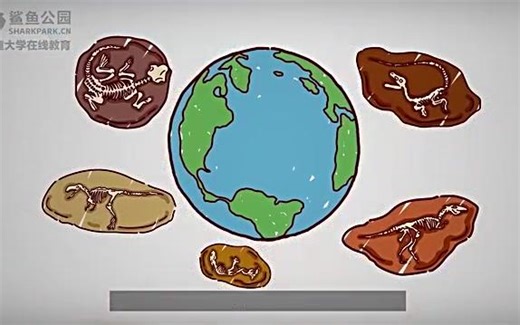 【鲨鱼公园】儿童科普动画 全系列