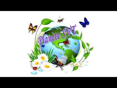 #Méthodo : Construire un tableau à simple entrée