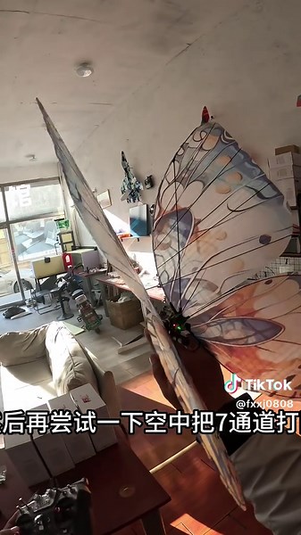 仿生蝴蝶新发射模式测试