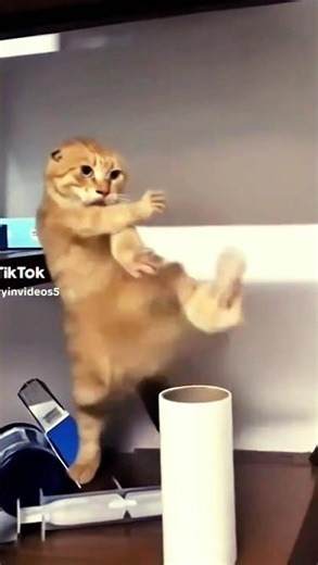 kungfu panda ✖️ #shorts #funny #viral #trending