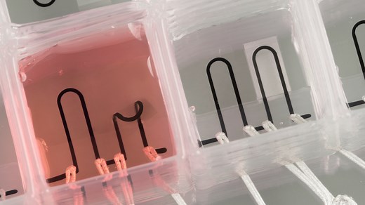 First entirely 3D-printed organ-on-a-chip with integrated sensors