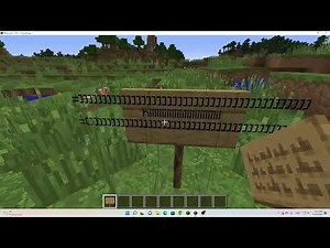 Strange glitch Minecraft signs 1.16.5 singleplayer