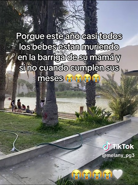 Causas de la Mortalidad Infantil en el Embarazo