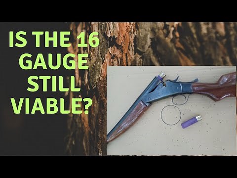The 16 Gauge, Is It Still Viable?