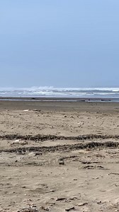 326 reactions · 27 shares | The Washed Ashore: Art to Save the Sea...