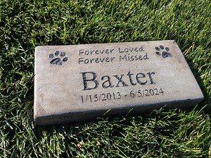 Personalized Engraved Pet Memorial Stone 11.5"x 5.5" Forever Loved Forever Missed - Etsy