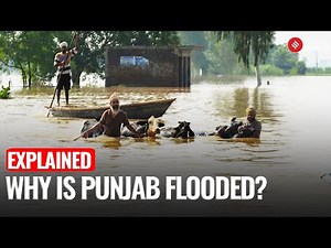 Punjab's Worst Crisis: How Did Punjab Get Flooded - River, Dams & Man-Made Disaster Explained