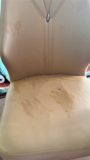 High-Grade Multi-Purpose Foam Cleaning Agent Review