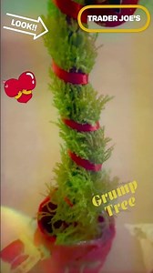 Grump Tree from Trader Joe’s