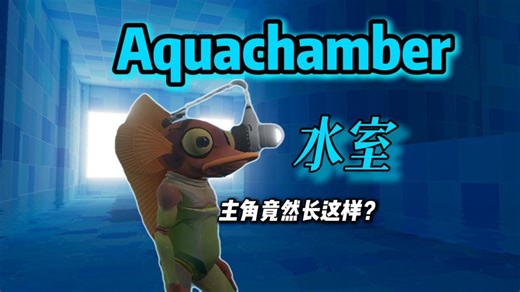 头上长了个摄像头的蛙 一款池核小巧思解谜游戏 Aquachamber