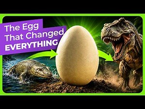 How One Egg Changed Life Forever