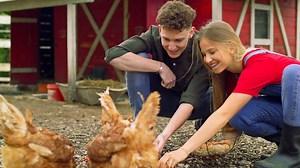 Cases of bird flu on the rise across the US