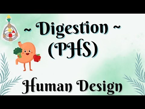 ~ Digestion/Determination ~ Full Explanation ~ Human Design ~