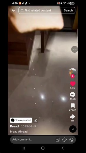 #fyp #funny #bread #sad #viral | falling bread