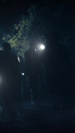 Gator Night Shine‼️‼️‼️ #gatorland #orlando #florida | Gatorland Orlando