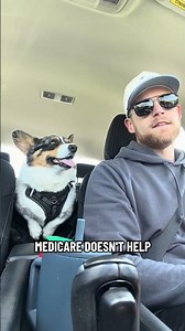 One Thing Medicare Definitely Won't Cover 🐶