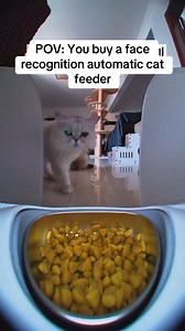 Face Recognition Automatic Cat Feeder – How It Works for Your Cat