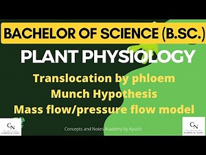 Translocation || Munch Hypothesis || Mass flow || Pressure flow model || Academy by Ayushi | B.Sc