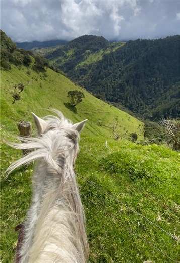 Exploring Colombia's Stunning Nature: A Visual Journey