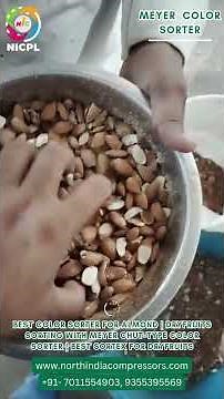 Best Color Sorter for Almond | Dryfruits Sorting with MEYER Chute Sorter | Best Sortex for Dryfruits