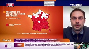 Cohen : "Le moustique-tigre se reproduit sur les petits points d'eau stagnante"