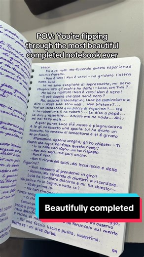 Beautiful Completed Notebook Flip-through