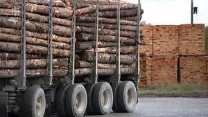 B.C.'s forestry companies have announced shutdowns or curtailments at more than two dozen mills in the province, putting hundreds out of work. What's to blame for the downturn? | CBC Vancouver