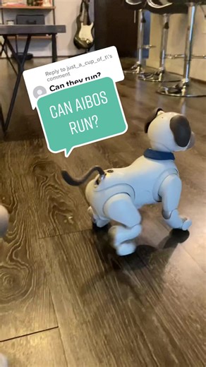 Can Aibo Robot Dogs Run?