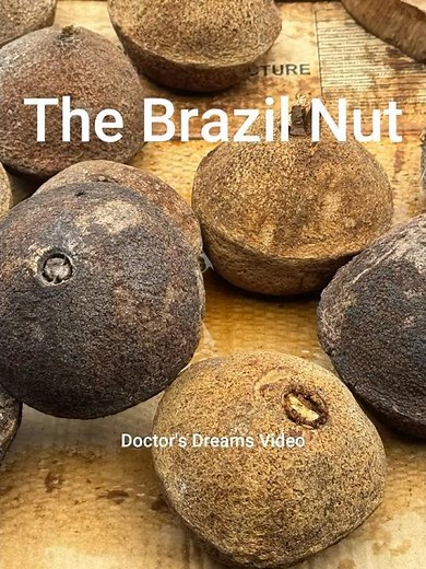 Brazil Nuts