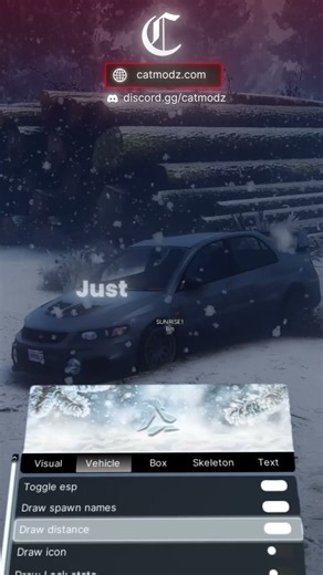 Vehicle ESP options! #foryou #gta5 #fivem #fivemroleplay #gta5rp #redengine #catmodz #gtarp